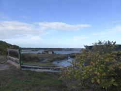 CR / RANDO 15 / DOMAINE DE CERTES 