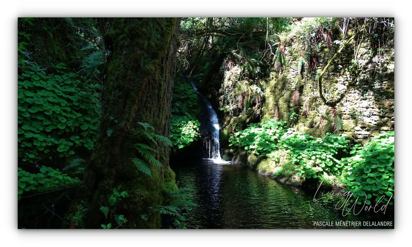Le Rabalézain (Ruisseau de Blanaves)