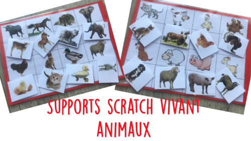 supports scratch animaux