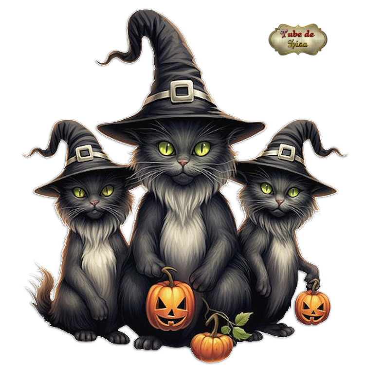 Halloween animaux 12