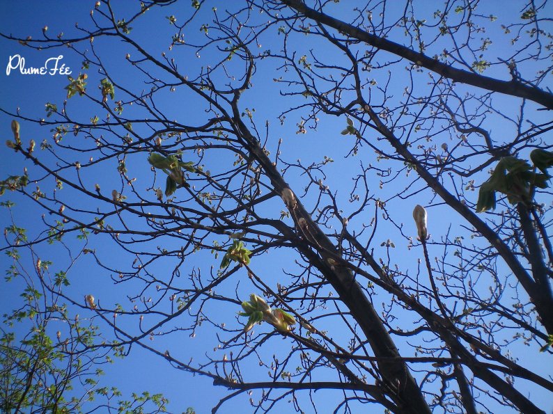 Image003.jpg