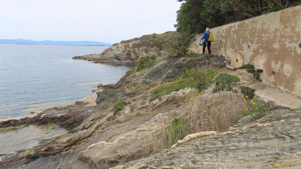 La Madrague - presqu'île de Giens - 14