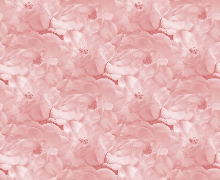Fleurs (grandes textures)