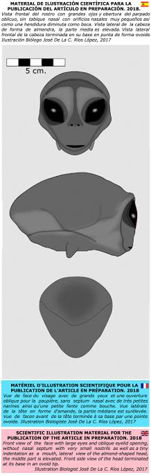 ALIEN PROJECT - Les momies du Pérou/5