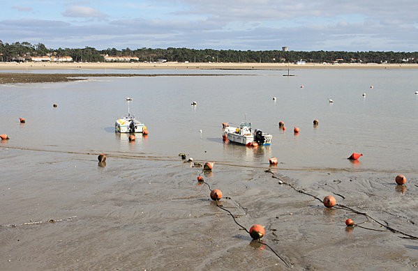 balade à st georges de didonne 11