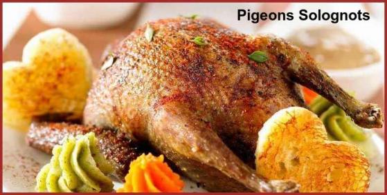 ღ꧁ღ╭⊱ꕥ   41 Le Centre  ꕥ⊱╮ღ꧂ღ