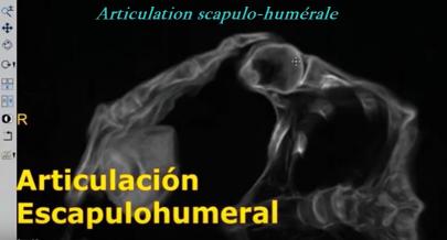 ALIEN PROJECT - Les momies du Pérou/5