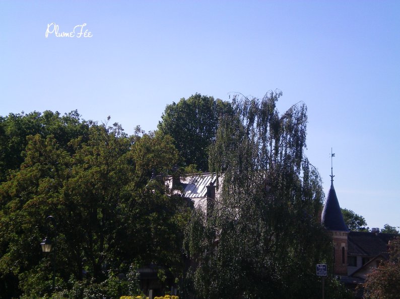 Image002.jpg