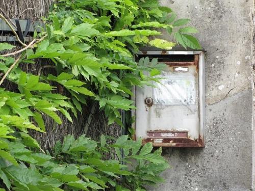 ... la poste se met au vert...?