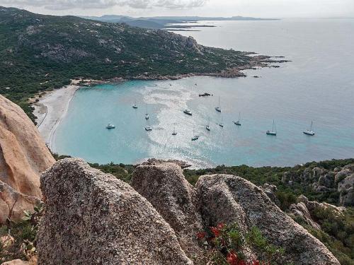 Roccapina : sa tour génoise et son lion (Corse)