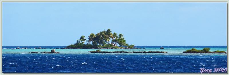 Le motu de Robinson - Passe d'Avatoru - Rangiroa - Polynésie française