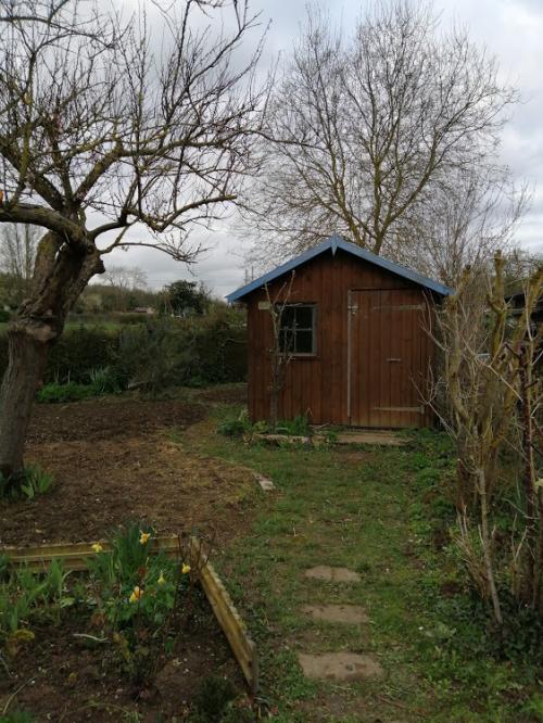 Mon jardin se réveille