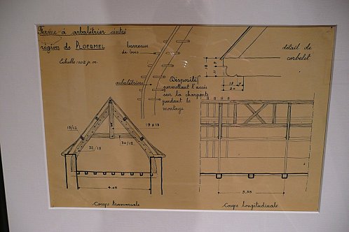 limg-1804268344.jpg