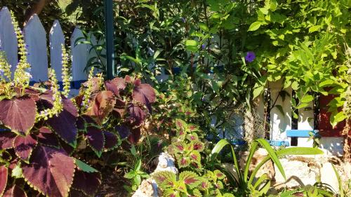 Le triomphe de l'esprit cycladique