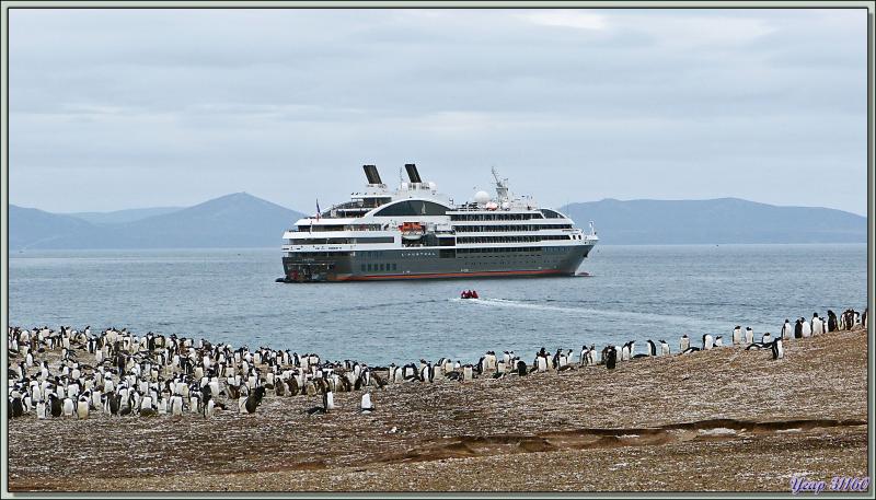 Nous allons quitter Saunders Island pour rejoindre l'Austral avant de naviguer vers notre ultime point de débarquement - Falkland Islands, Iles Malouines, Islas Malvinas
