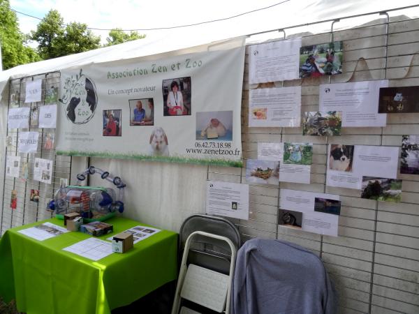 Les journées Châtillonnaises : producteurs locaux, associations, commerces, spectacles...