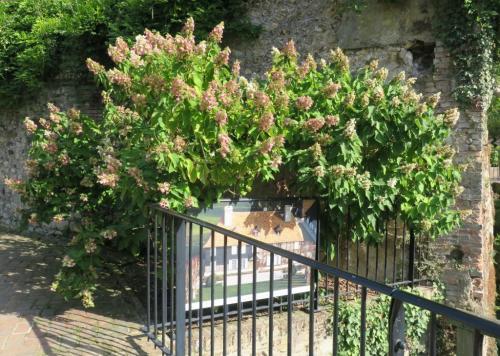 Dans le Jardin du Tripot "Au fil de l'eau" à Honfleur