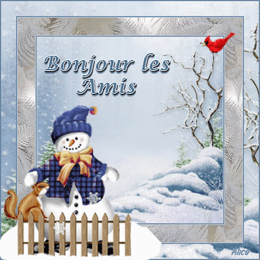 bonhomme de neige ...