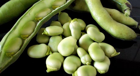 Légumes du mois d'Avril