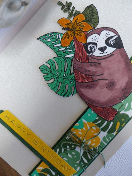 Joyeux Anniversaire ... 66