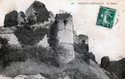 LES REMPARTS D'ARQUES-LA-BATAILLE ( Seine-Maritime)
