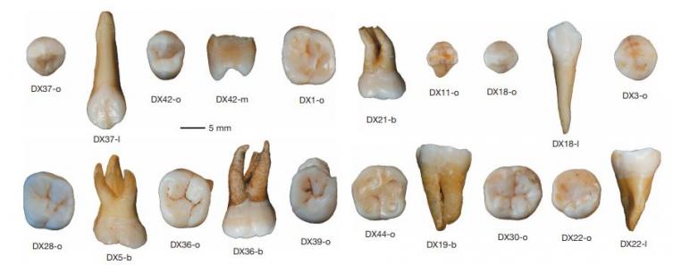 8 - L'expansion des Homo sapiens