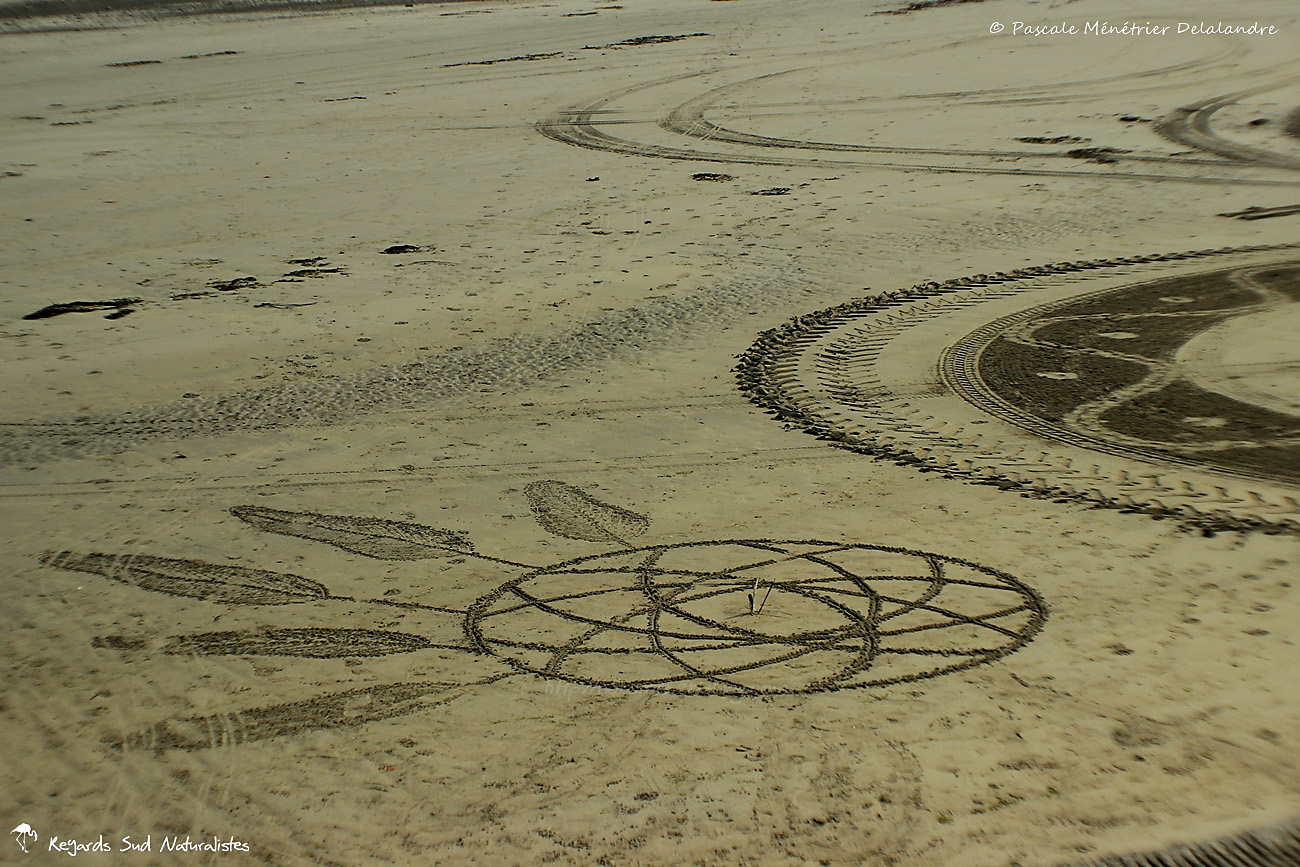 Des rêves sur le sable...