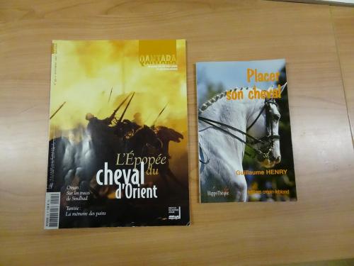 Epona 21, une nouvelle association d'amateurs de chevaux de loisirs, a vu le jour à Châtillon sur Seine