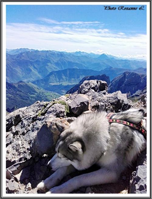 Vacances avec vos Huskys (18 août 2017)