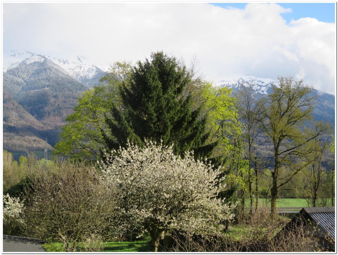  LA DERNIERE NEIGE D'AVRIL 2022