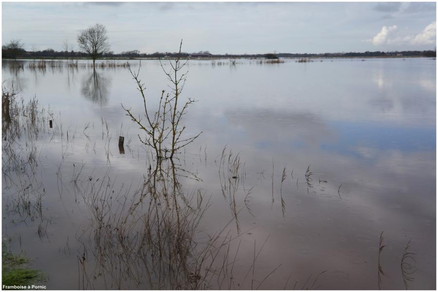 Dans la campagne pornicaise