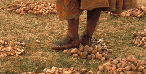 L'agriculture de conservation, un levier pour lutter contre l'érosion ...