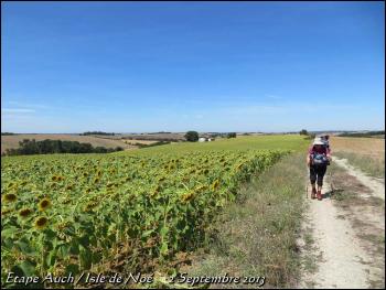 (J2) Auch / Isle de Noé _2 septembre 2013_ (23km) (3)