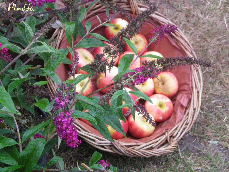 Image011.jpg