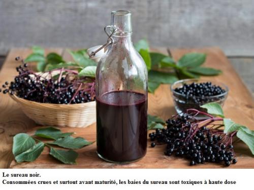 2-BAIES ROUGES – NOIRES attention !