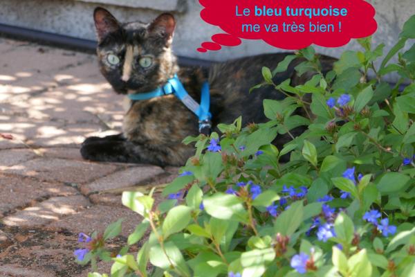 Un harnais pour ma sécurité