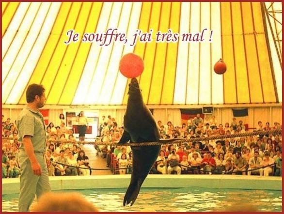 NOS CiRQUES