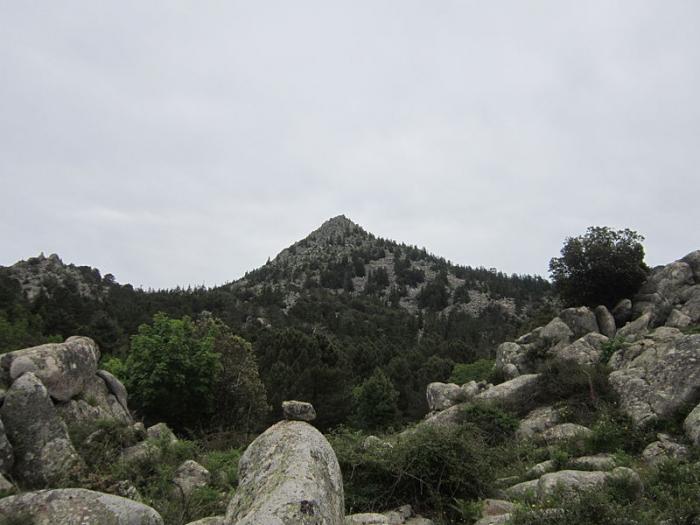 Département de la Corse  2ème partie