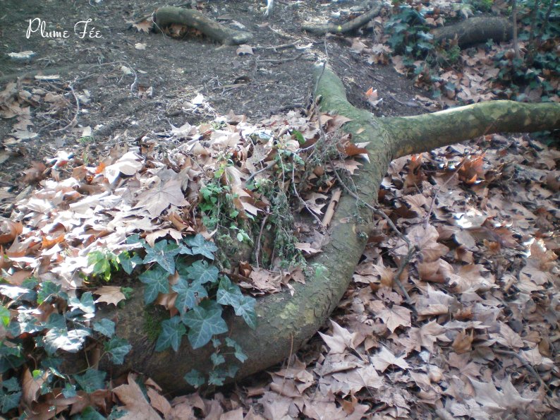Image027.jpg