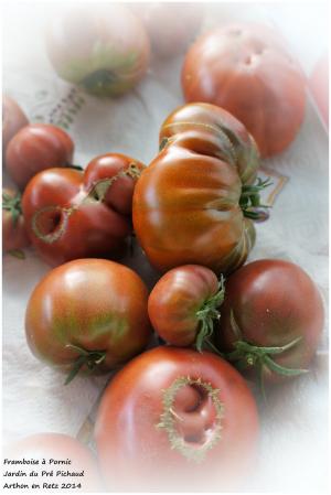 Les bons légumes du Pré Pichaud à Arthon en Retz 