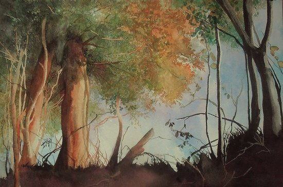 Aquarelles d' Isalelle Nicolas Maignan