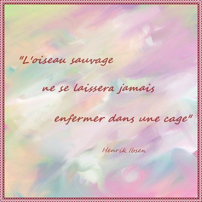 La foulque ...