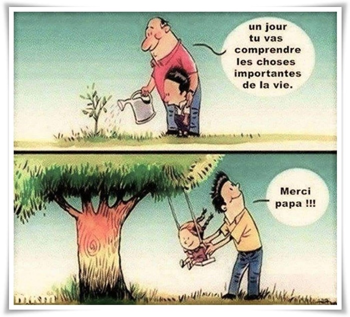 commandements de l'arbre
