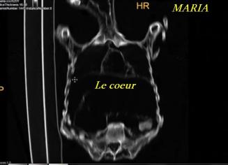 ALIEN PROJECT - Les momies du Pérou/5