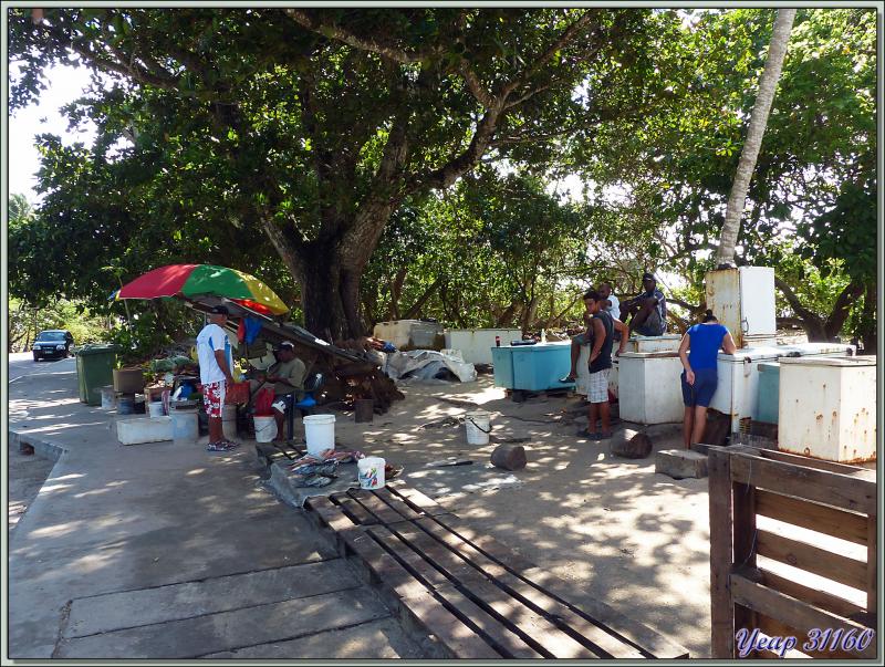 Le petit marché aux poissons de Anse Royale - Mahé - Seychelles