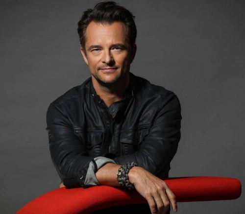 David Hallyday, Requiem pour un fou