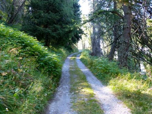 Col Bas (St Jean-Montclar)