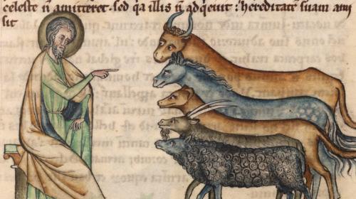 Bénédiction d’animaux ©AR2L Hauts de France.jpg