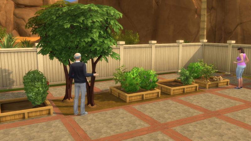 Semaine 2 - Quartier Oasis Springs - Foyer Colocataires