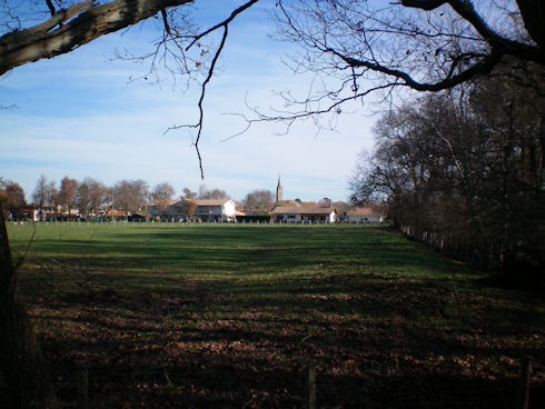 Image31